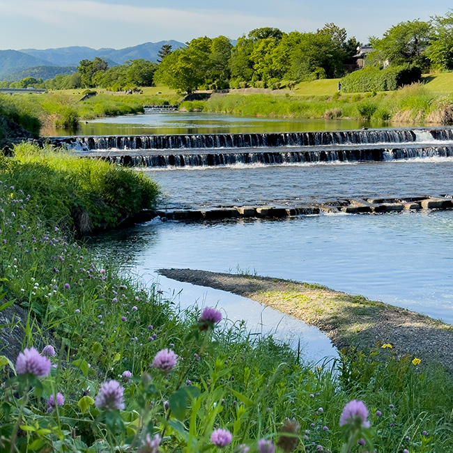 firenze外周河川 Kyoto: A River Runs Through It - Marc Schultz Photographer